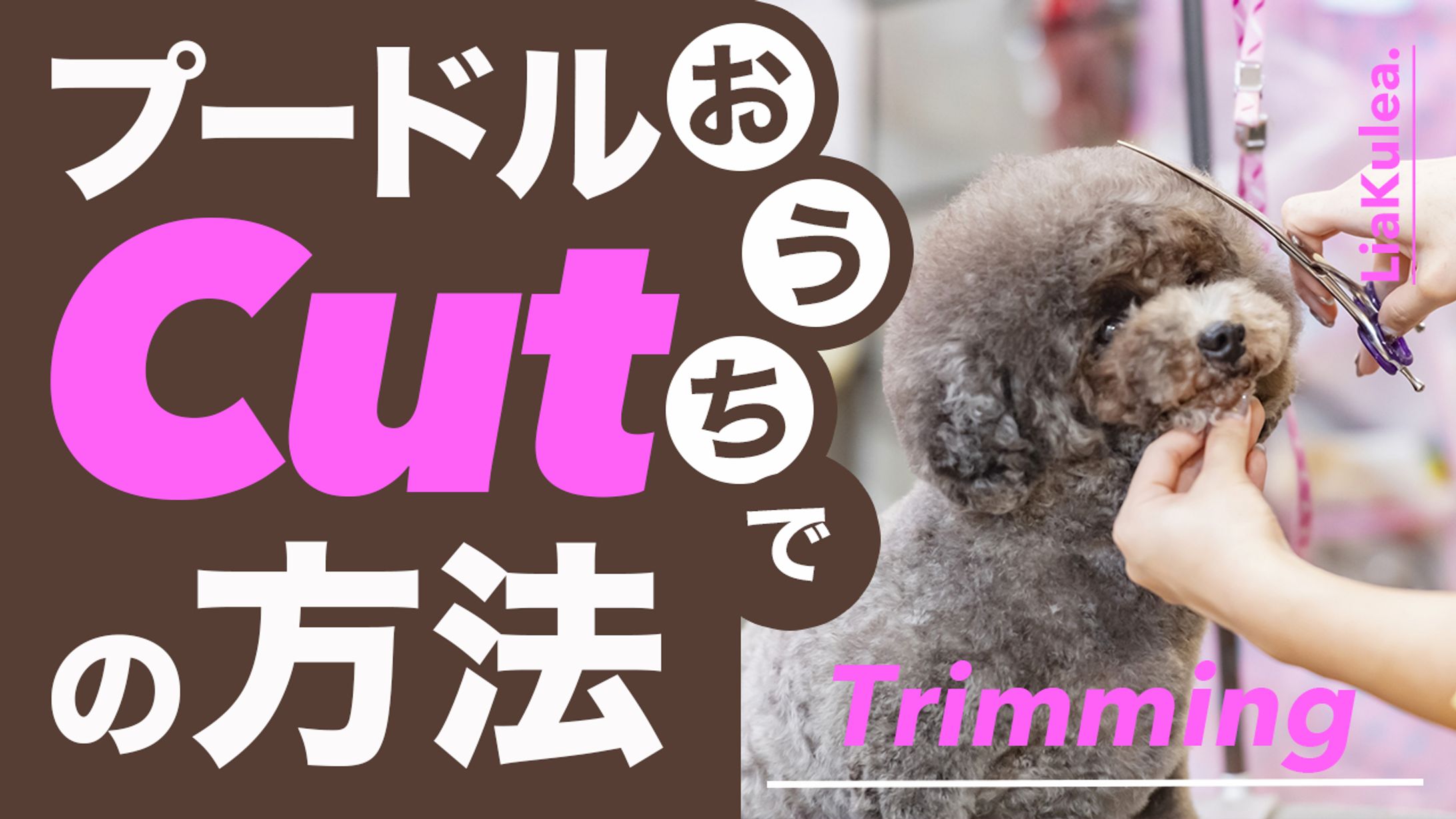 トリミングサムネイル（架空）-1