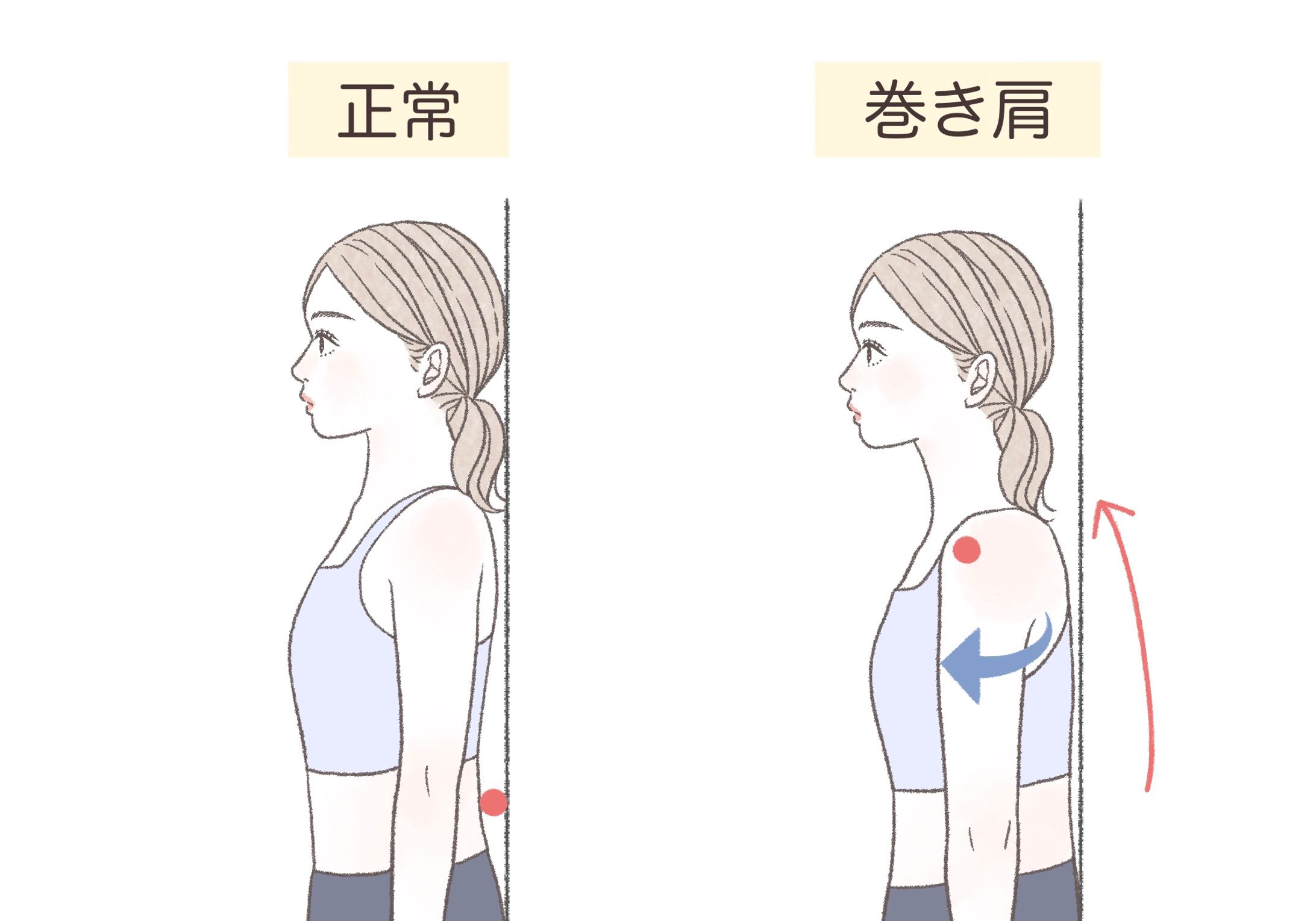 2025年「KIREICruise」掲載イラスト-1