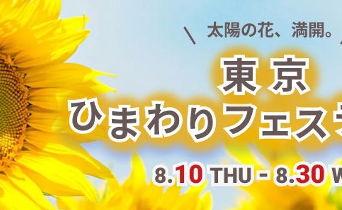 バナー/ひまわりフェスティバル