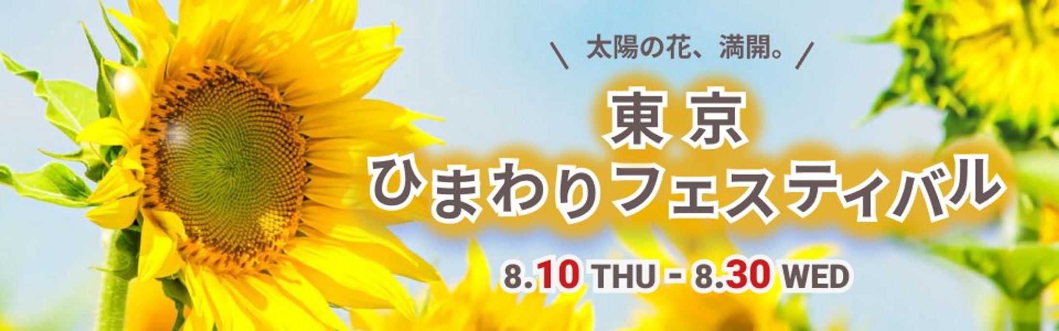 バナー/ひまわりフェスティバル-1