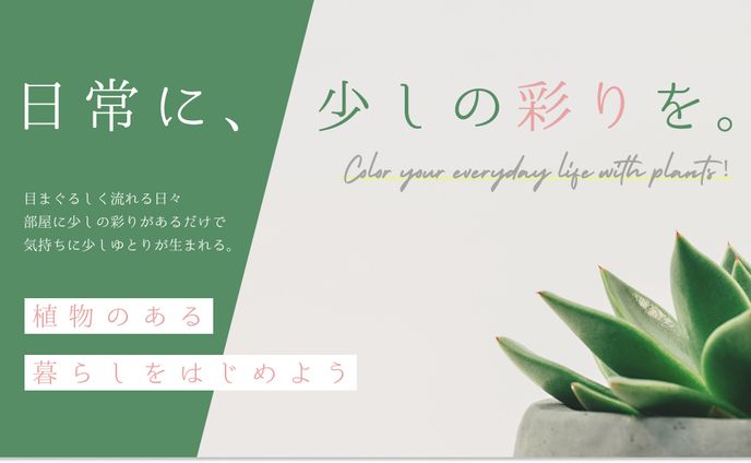【バナー】オンラインショップの記事サムネイル（観葉植物）