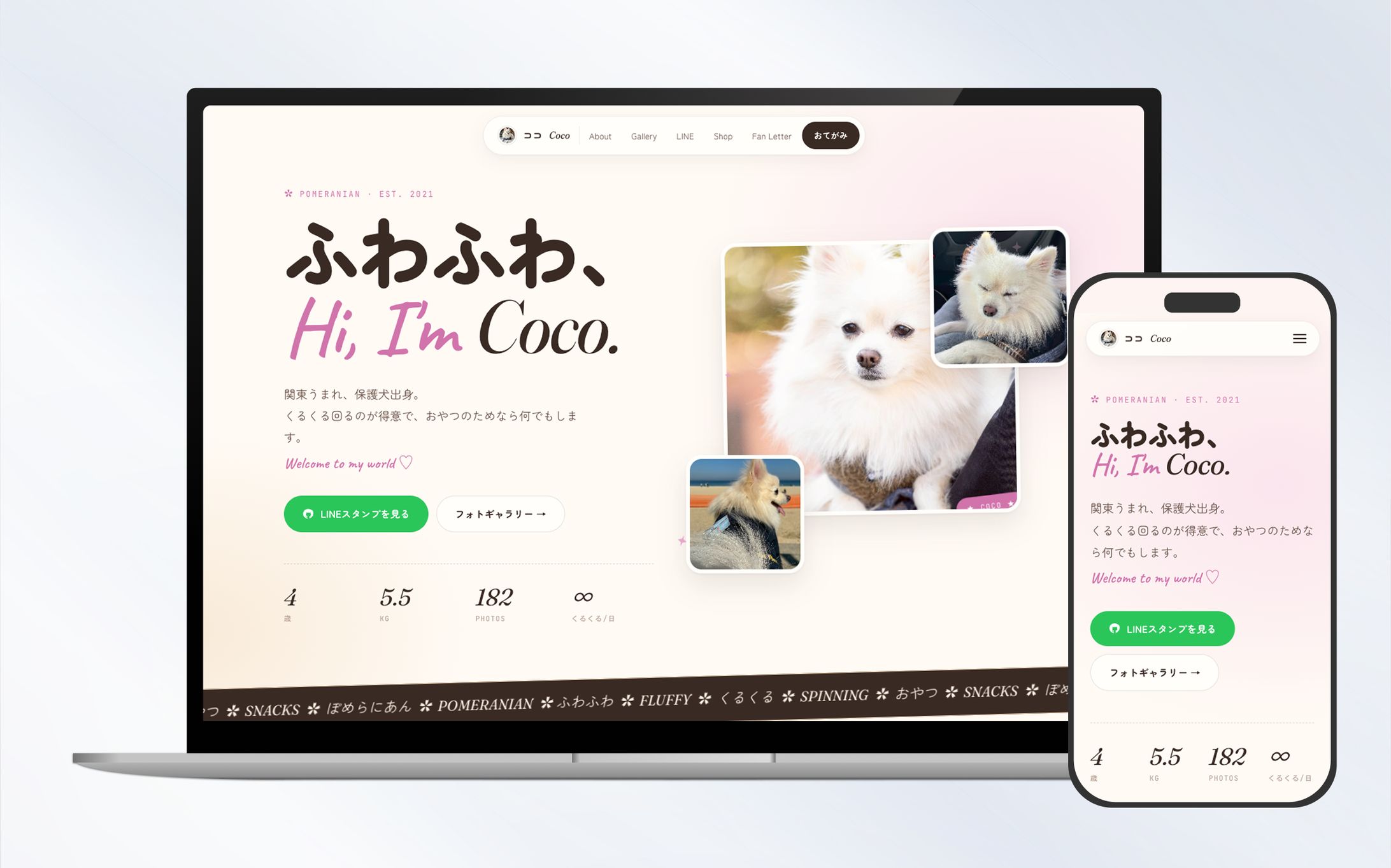 HP｜アイドル犬紹介サイト ポメラニアンの「ココちゃん」-1