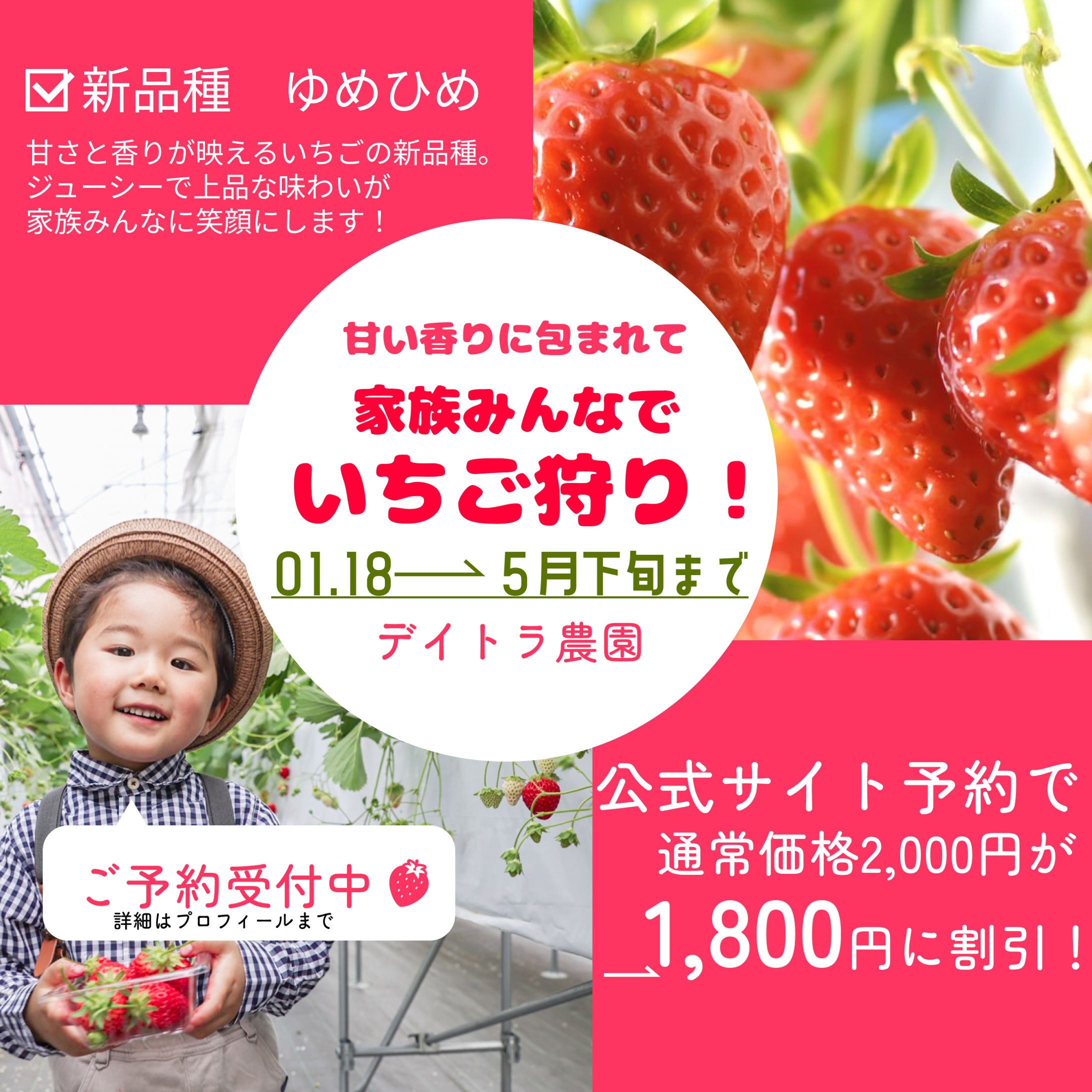 【Instagram広告】いちご狩り広告（自主制作）-1