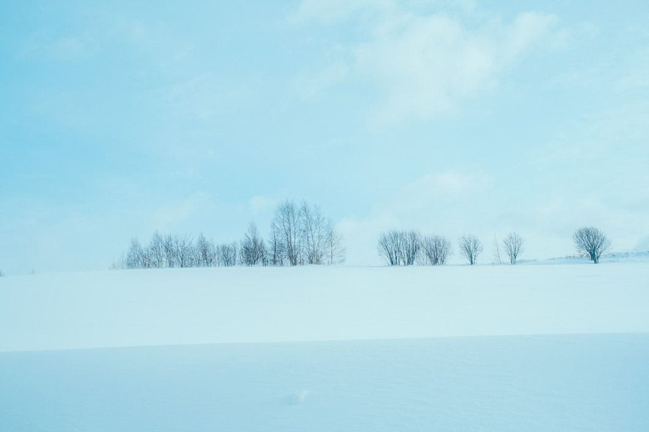 ⠀
【 北海道・上川町での移住生活日記 🏷Vol.17 】

GENICの企画で、上川町の暮らしを綴っていきます❄️
⠀
〰
１枚目：美しい丘がたくさんあることで有名な、美瑛の町。この日は車で通り過ぎただけでしたが、車窓からもいい感じの景色が楽しめました。

２〜８枚目：イベント用のキャンドル制作。ろうを溶かして紙コップに流し入れ、冷やしたら完成！真っ白な雪景色に、カラフルなキャンドルの似合うことよ。

９、１０枚目：こないだ枚数が足りなくて載せきれなかったクマたち。後ろ姿の哀愁。

⠀
#KAMIKAWORK
#genic_japan
#プチ移住
#北海道移住
⠀
#北海道
#上川町
#層雲峡

#hokkaido #hokkaidosgram #ひみつの絶景北海道 #行き先は北海道 #홋카이도 #홋카이도여행-1