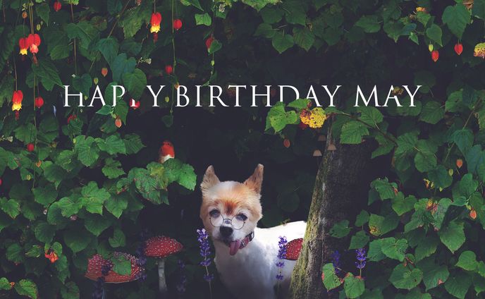 誕生日画像作成