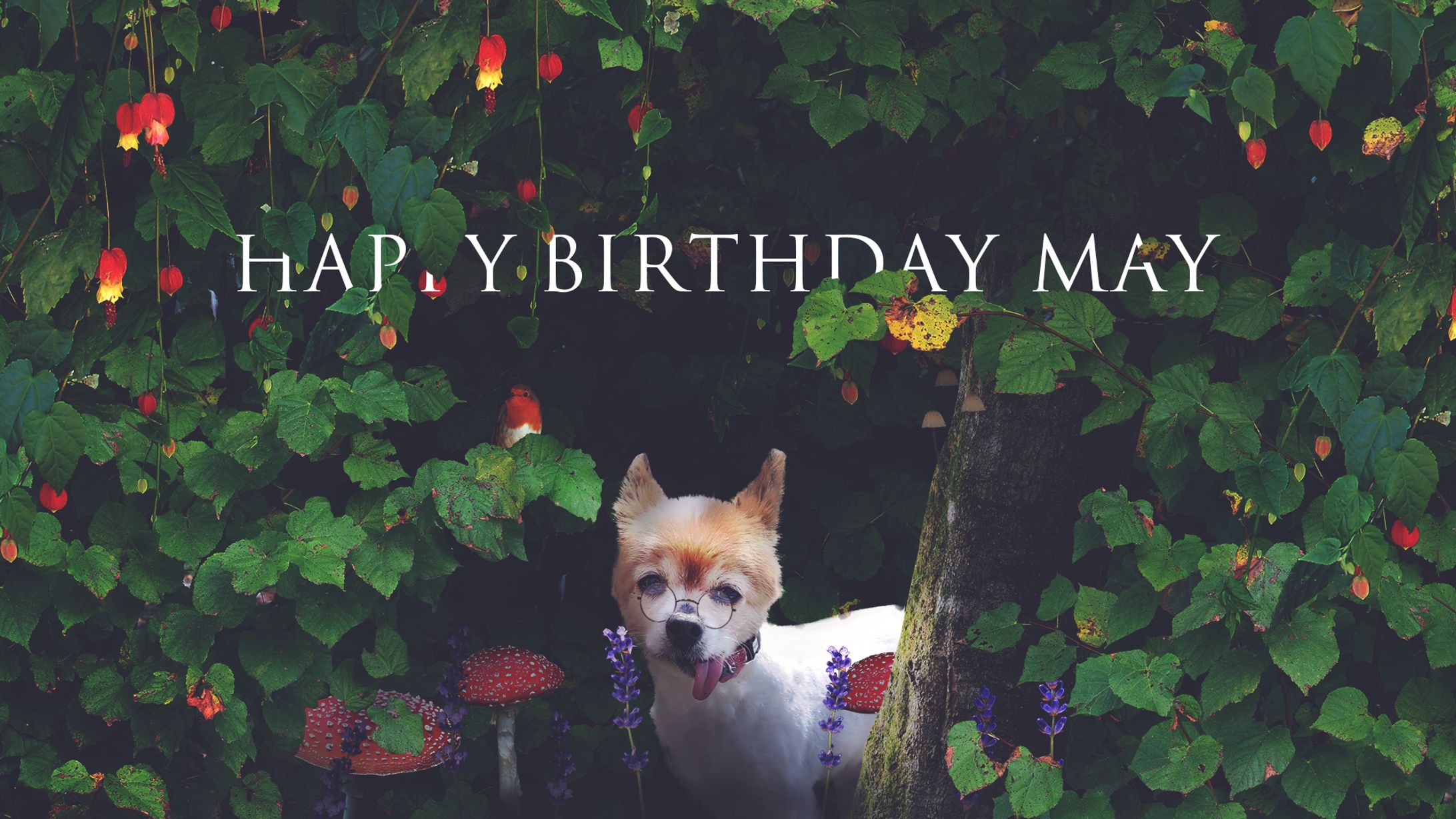 誕生日画像作成-1