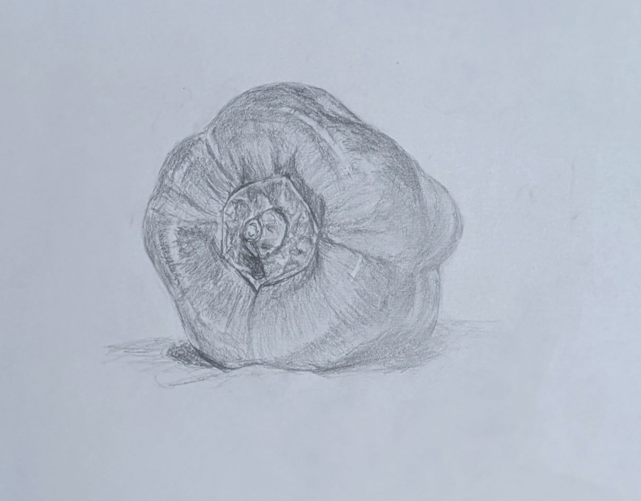 【デッサン】ピーマン-1