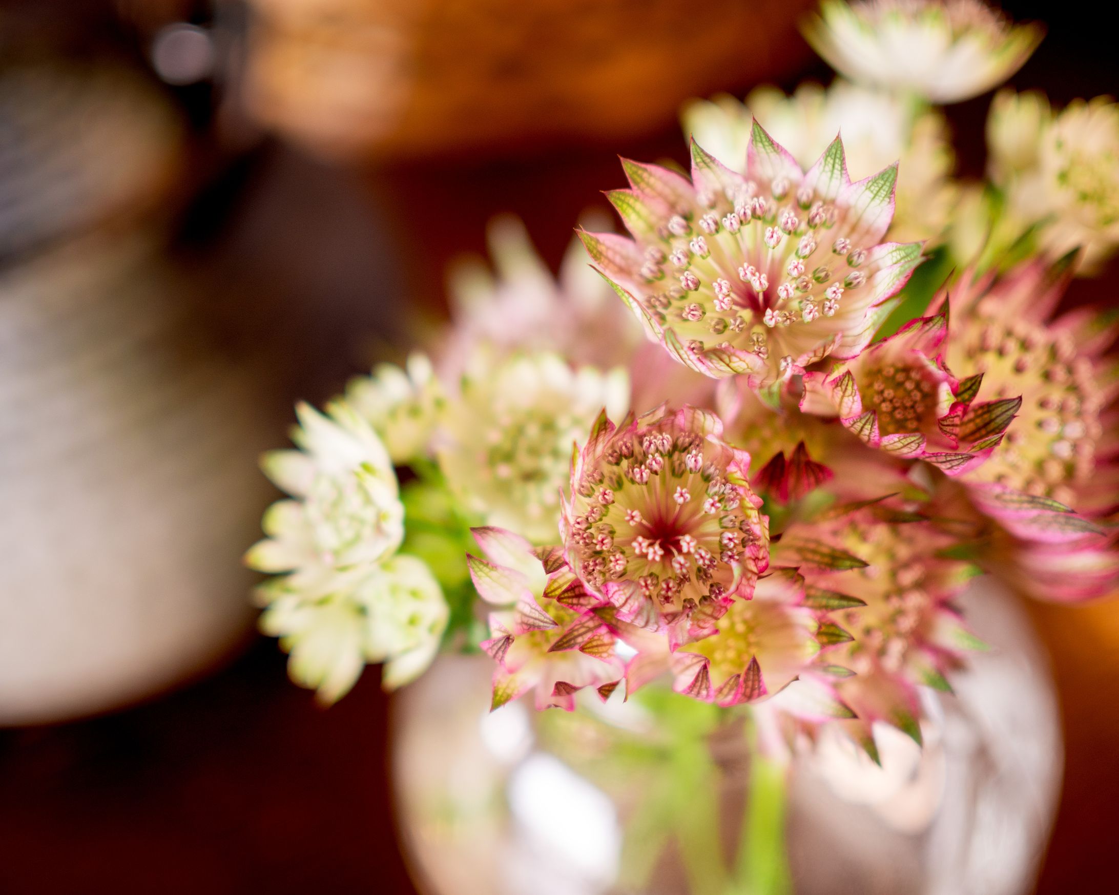 Photo_nature-1