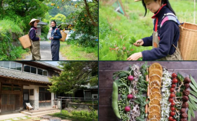 食べ物、お金、エネルギー、どれだけ自立してる？ 1カ月1万5000円「いとしまシェアハウス」の生活は問いかける