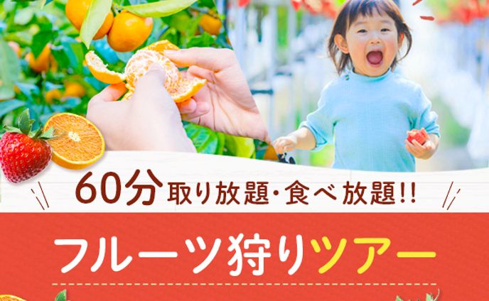 webデザイナー、筋トレ