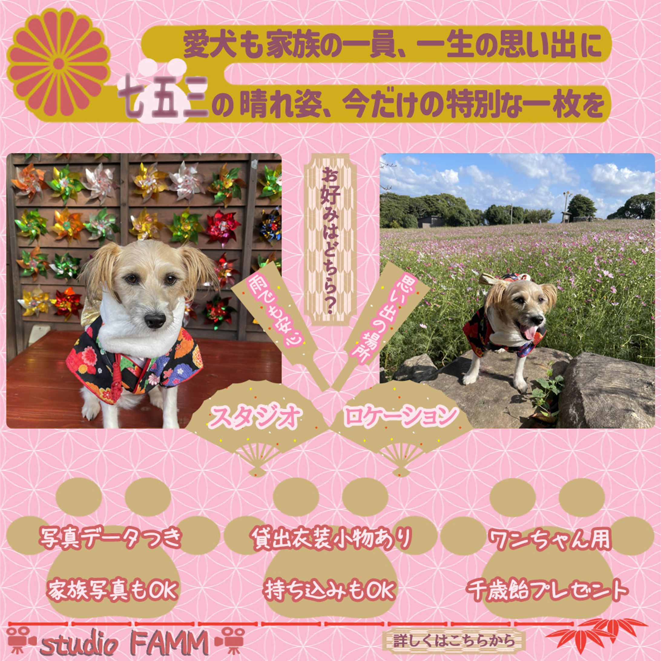 2024年11月バナー-1