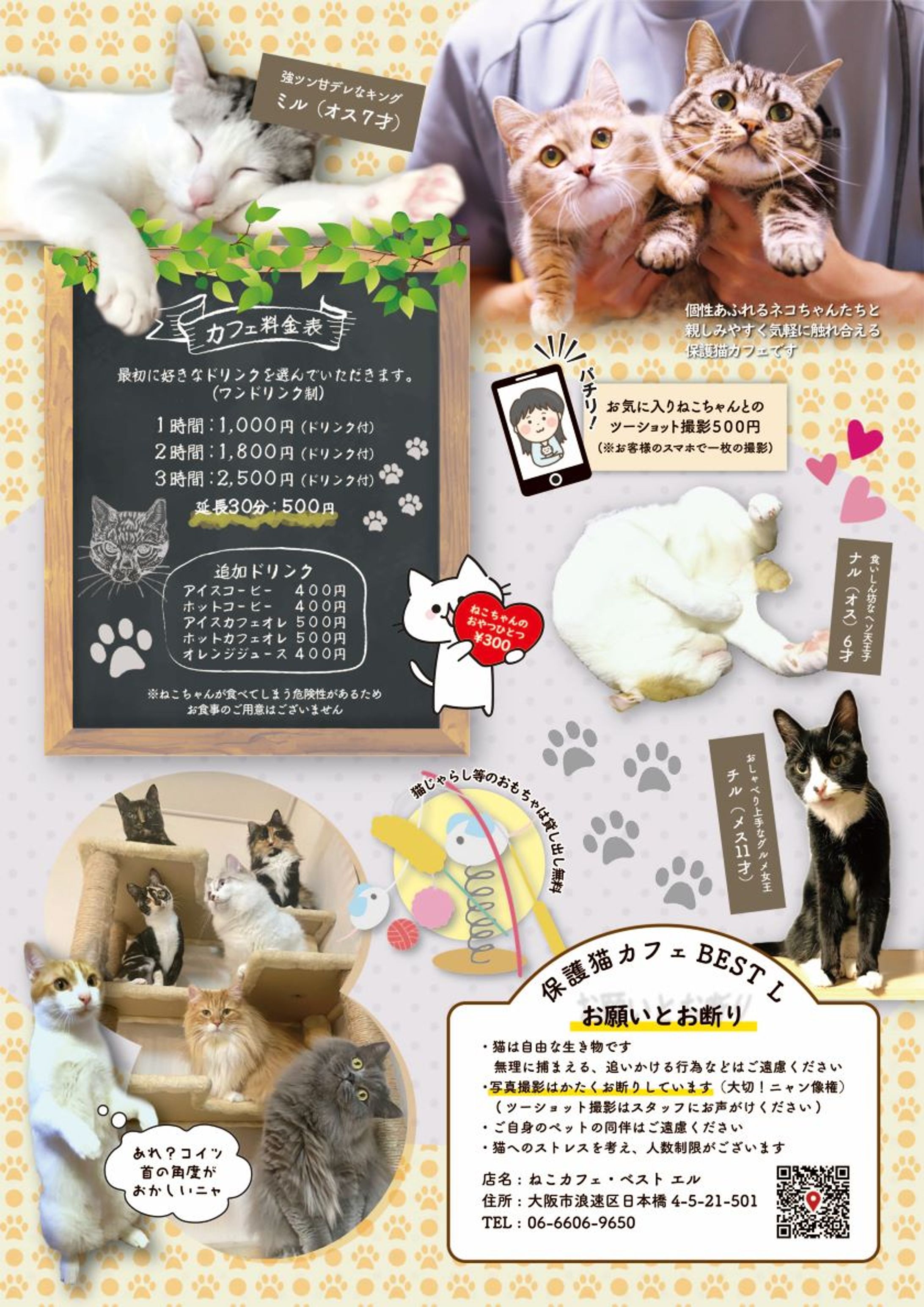 ネコカフェ紹介チラシ-1