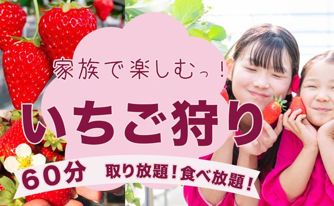 いちご狩りバナー