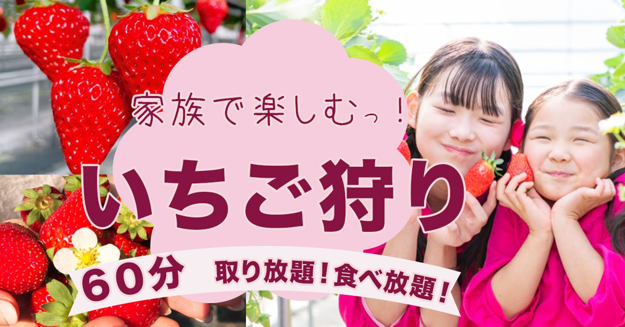 いちご狩りバナー-1