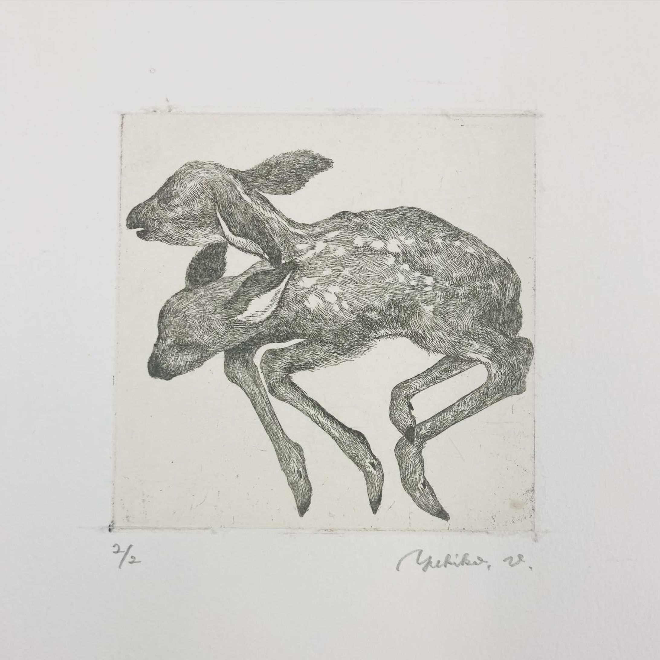no title
10㎝×10㎝

#etching
#エッチング
#銅版画
#版画-1