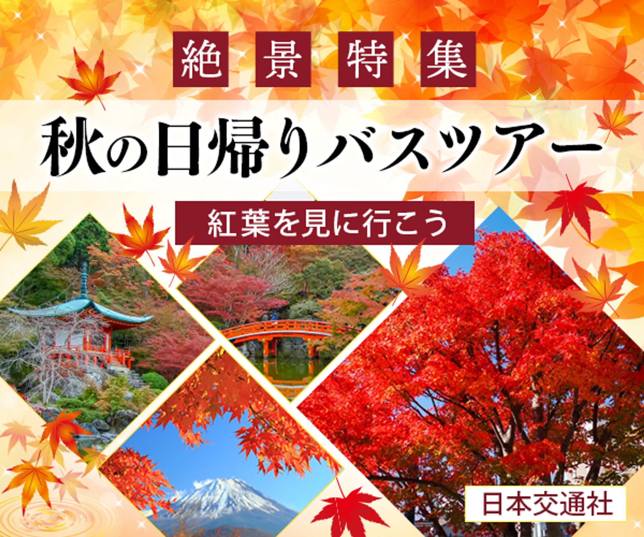秋の日帰りバスツアー-1