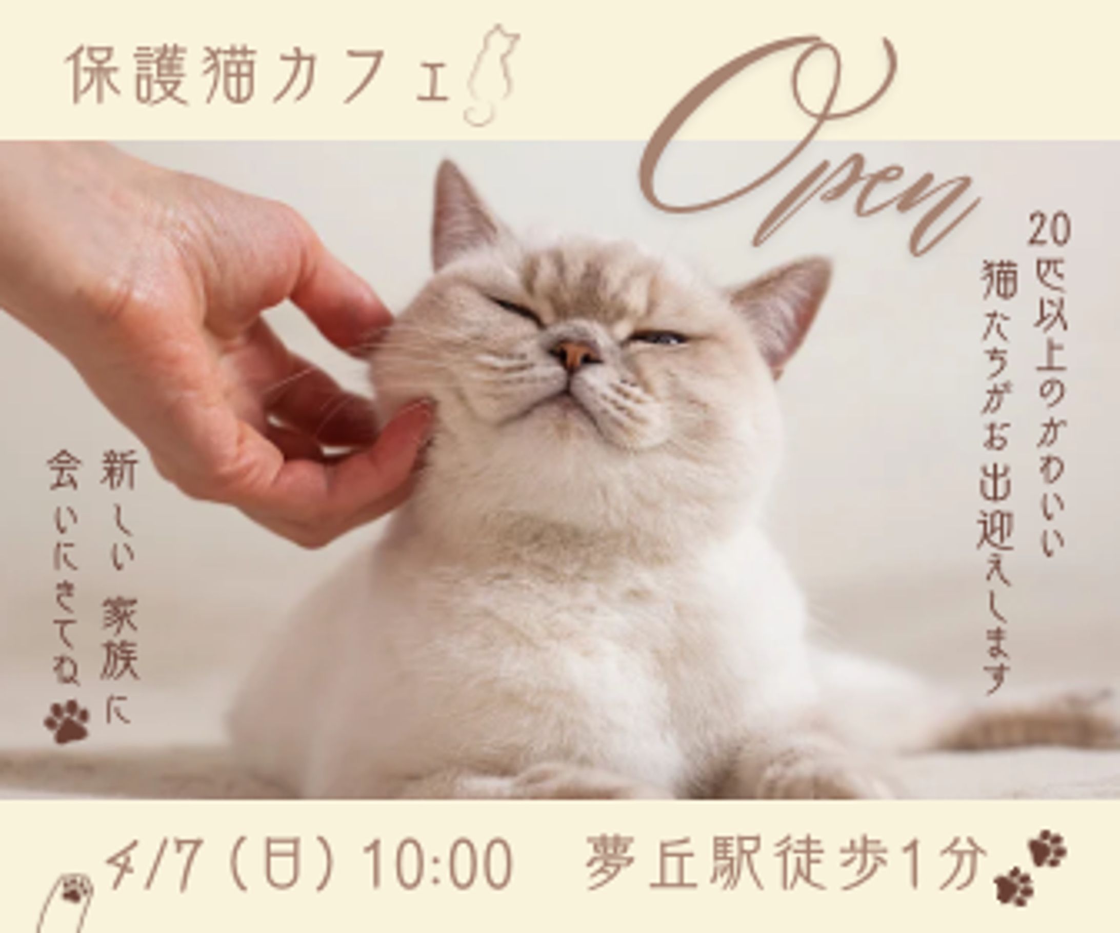 保護猫カフェオープン告知バナー（架空）-1