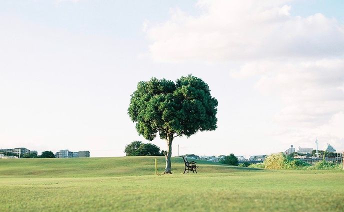 film photo 6×6