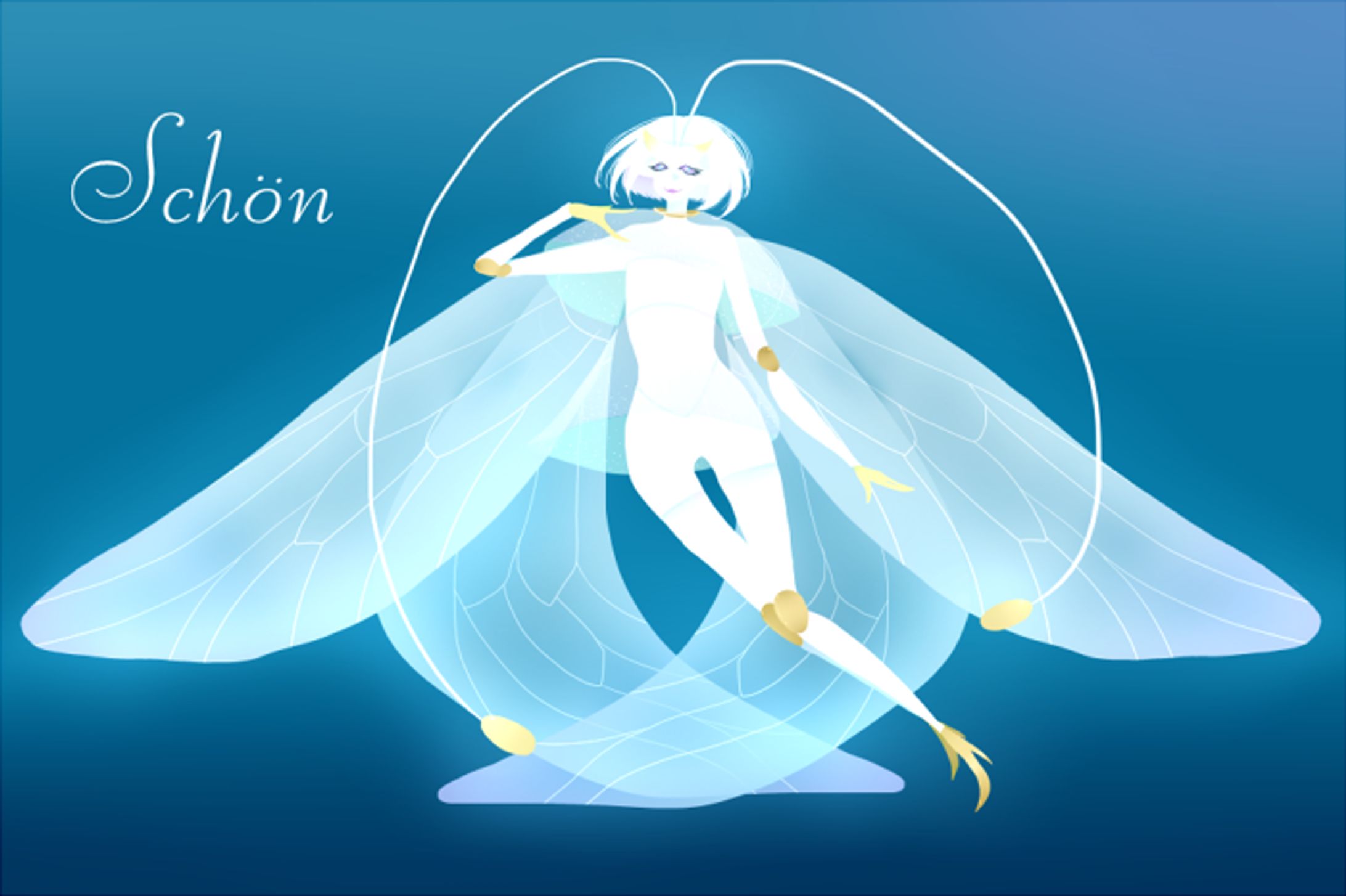 シェーン-1