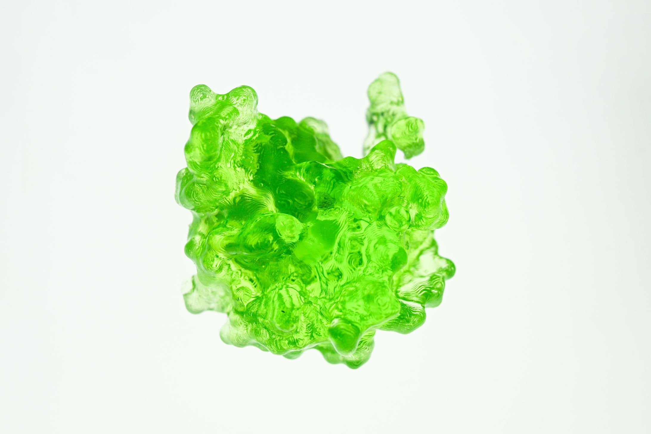 GFP blorch-1