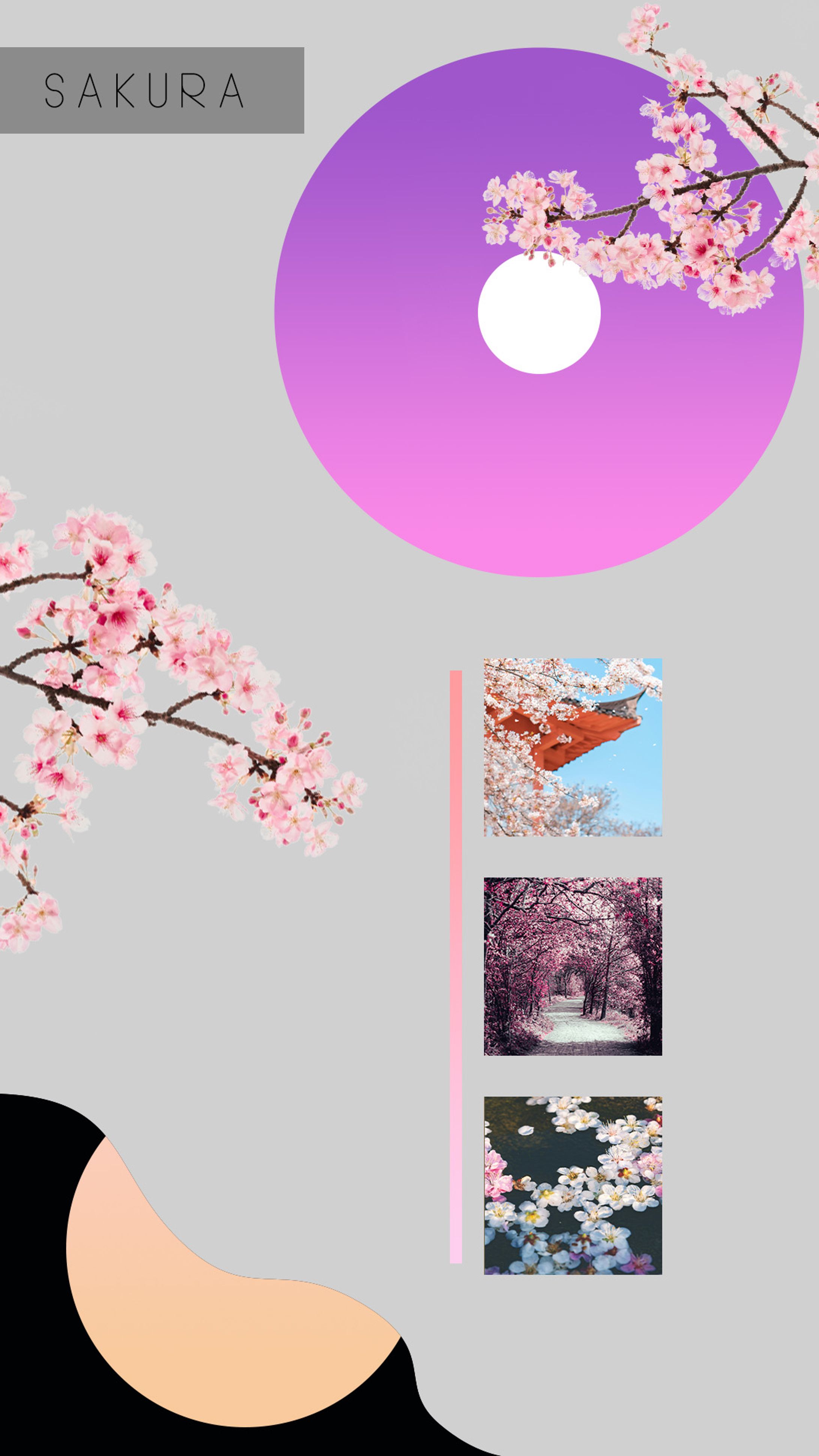 sakura-1