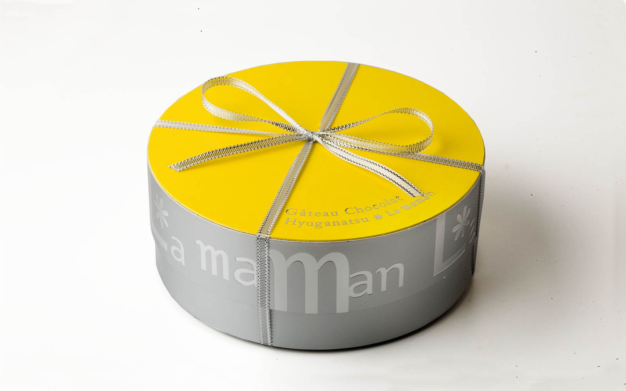 甘夏チョコケーキ-1