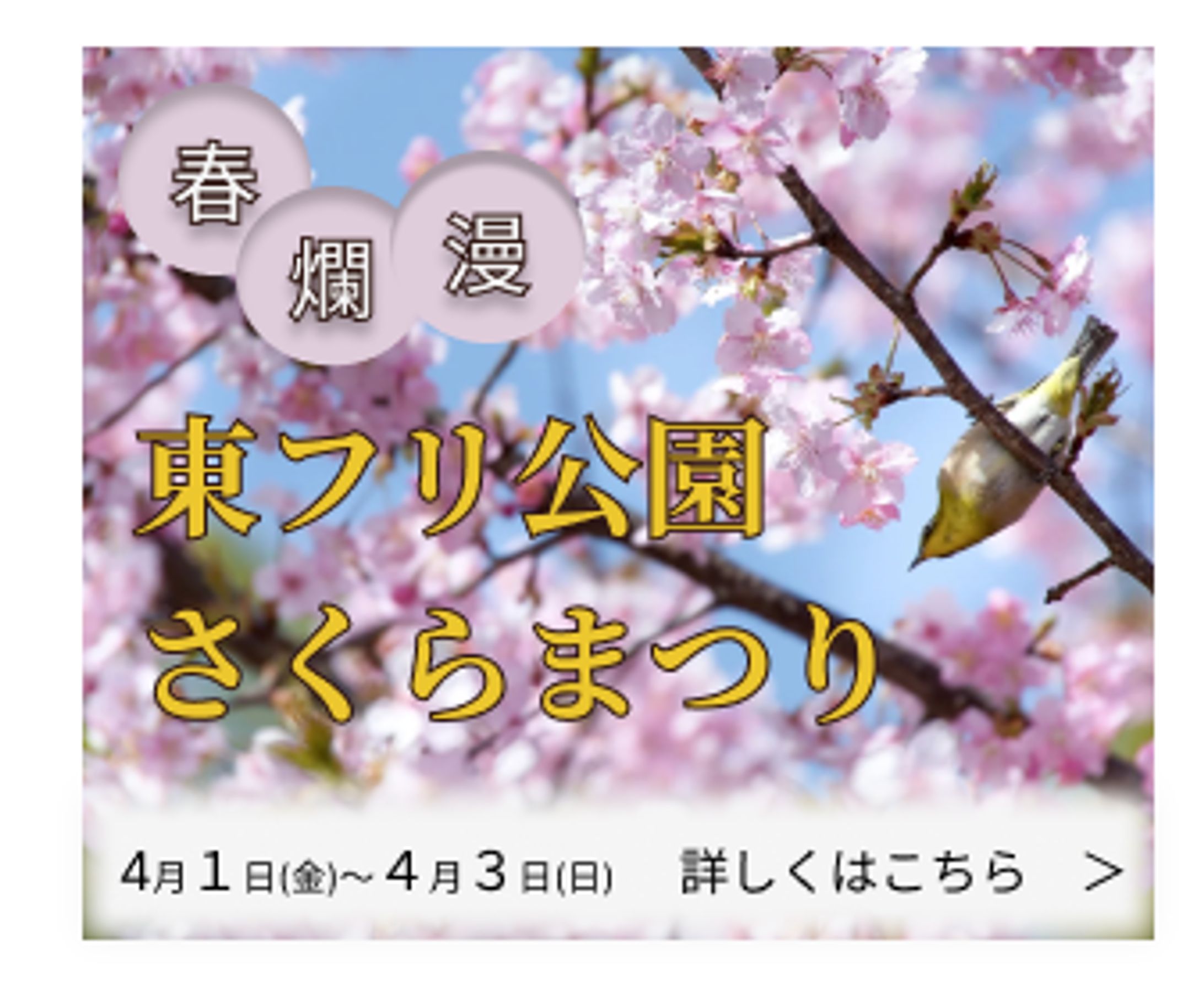 さくらまつりバナー-1