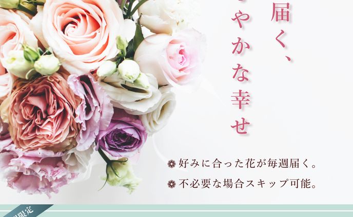 name logo、定期便