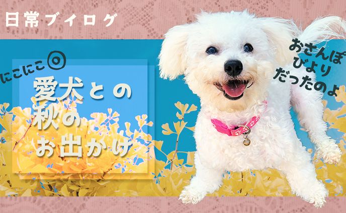 日常ブイログ愛犬と秋のお出かけ
