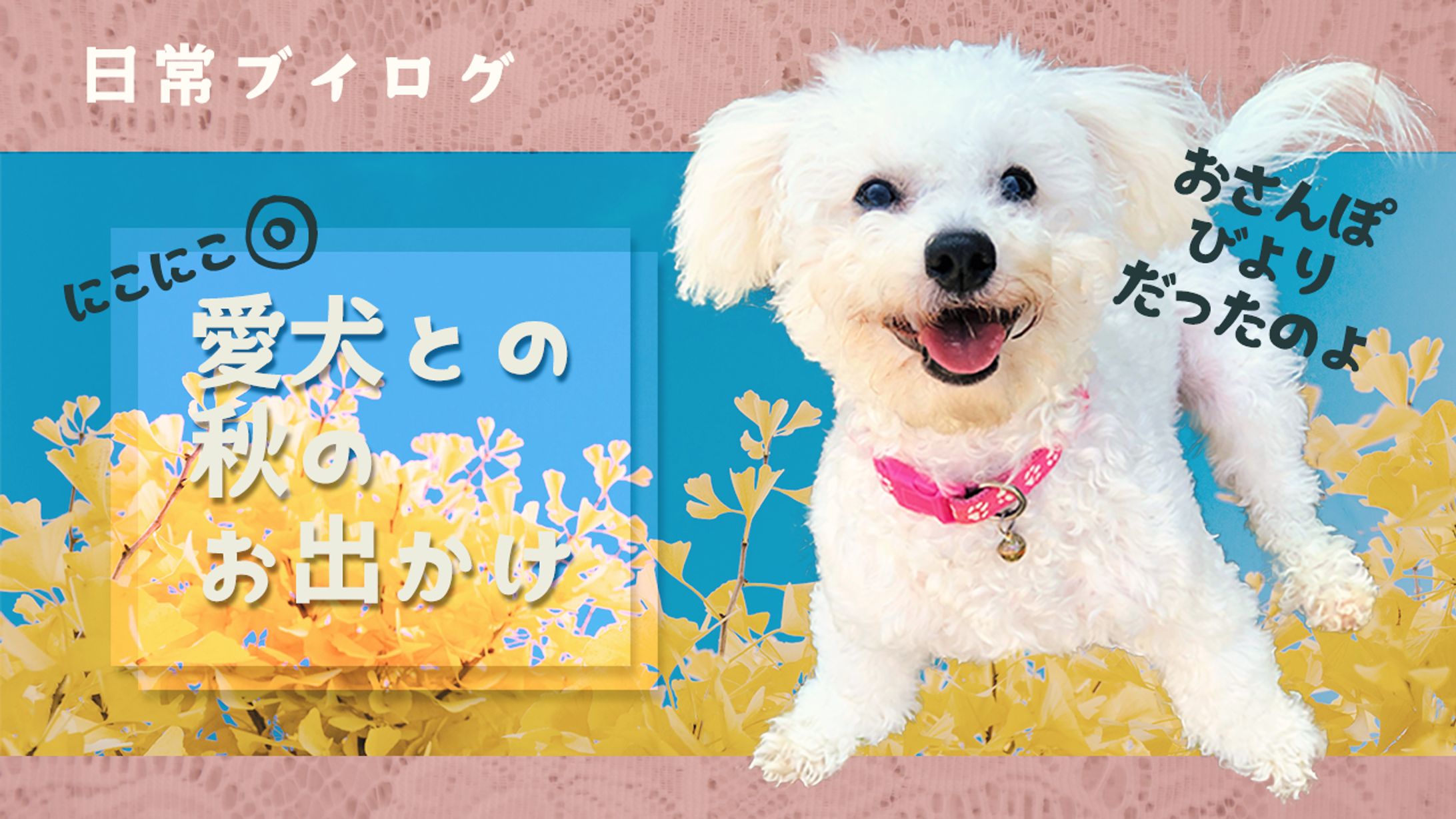 日常ブイログ愛犬と秋のお出かけ-1