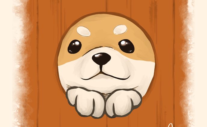 柴犬3