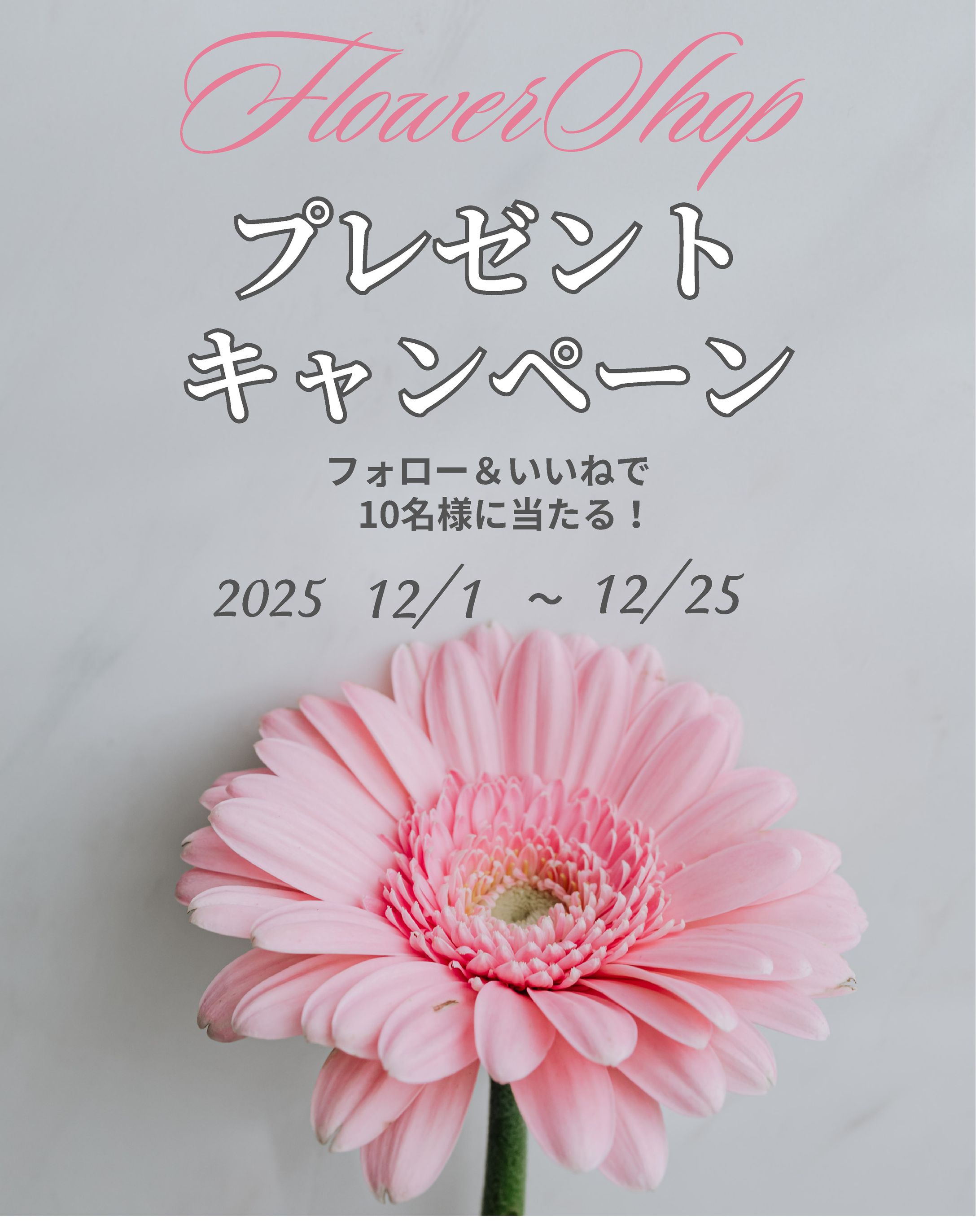 キャンペーン-1