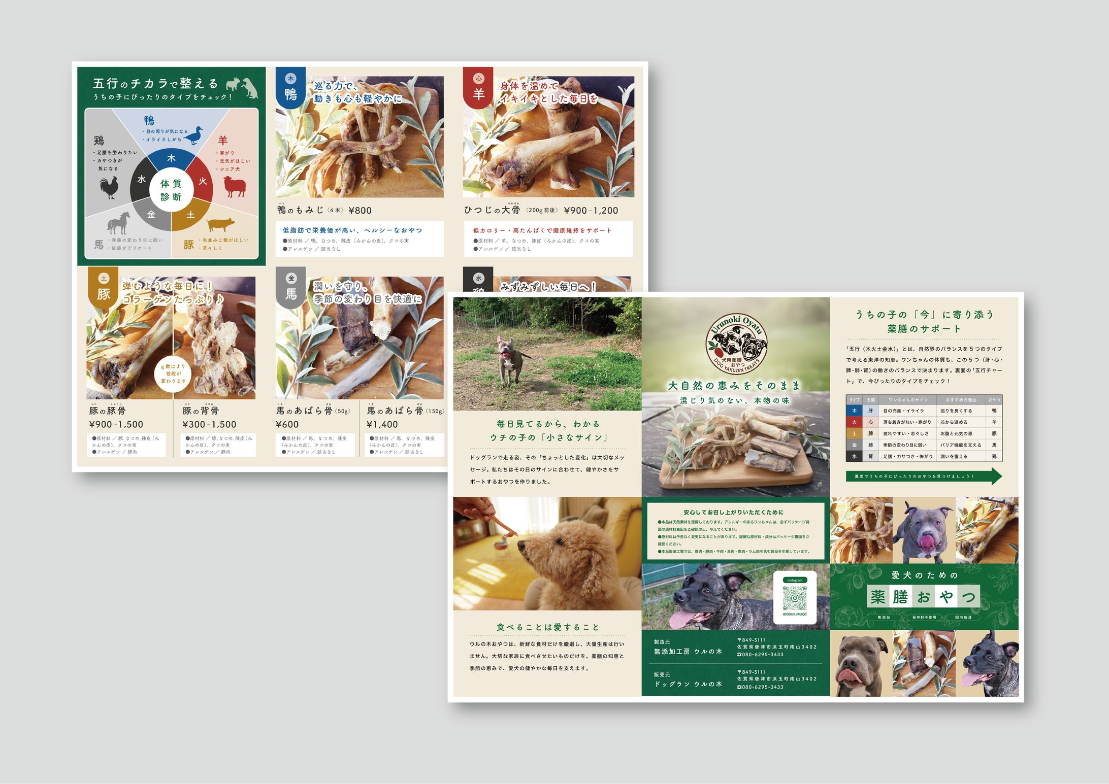犬用薬膳おやつの販促チラシ（A4両面1/6折パンフ設計）-1