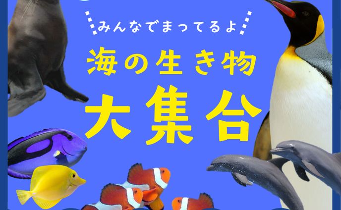 「水族館」バナー