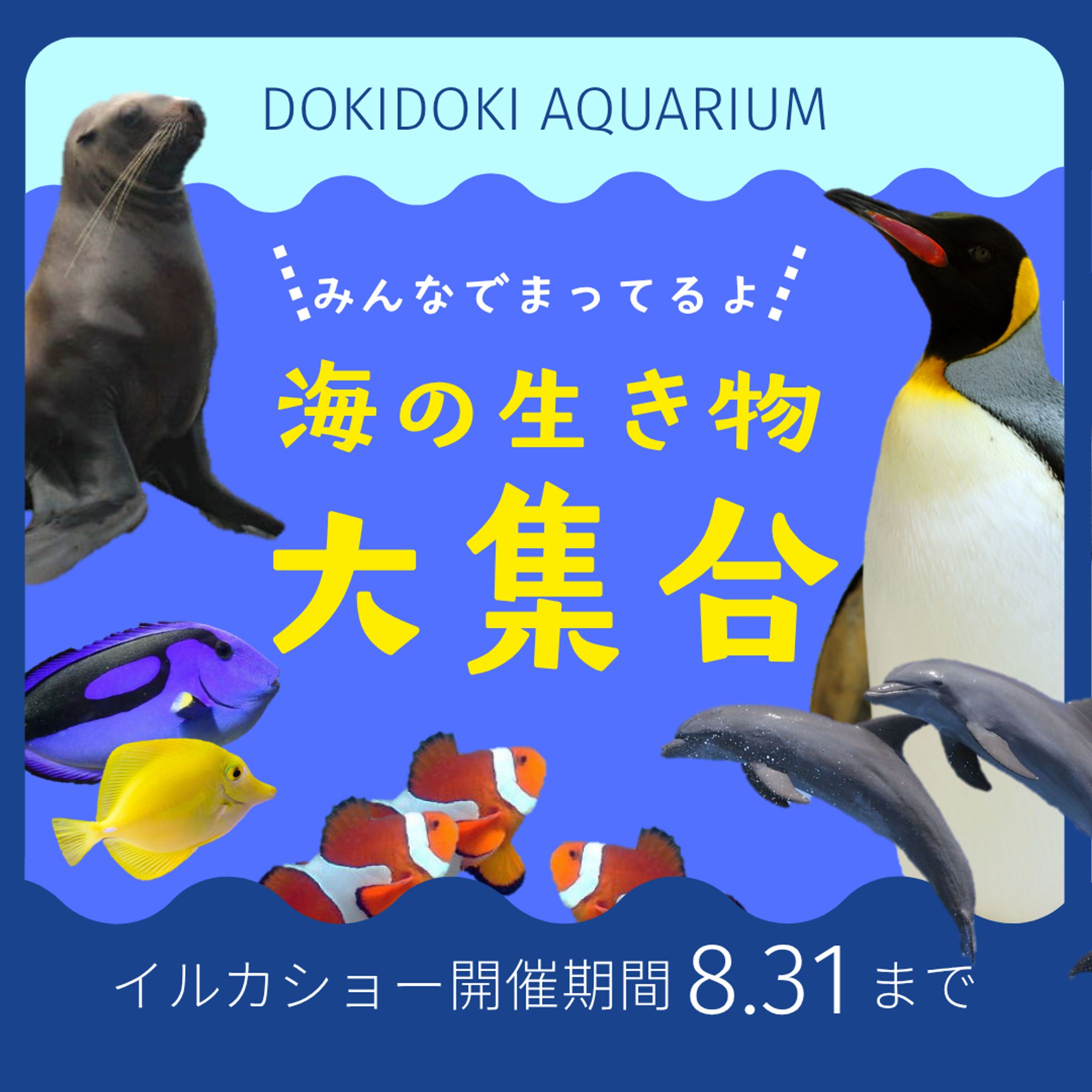 「水族館」バナー-1