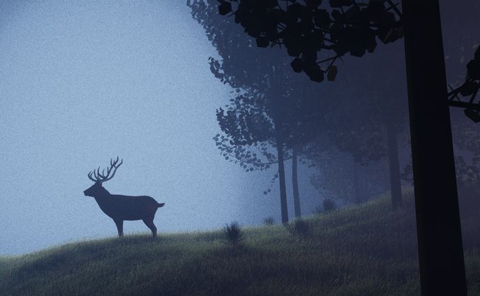 web designer、animated