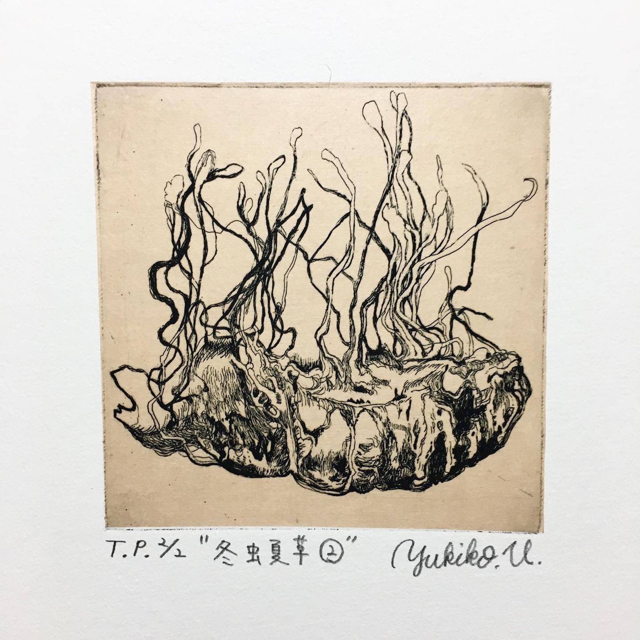 冬虫夏草②
vegetable wasp and plant warm
touchukaso
10㎝×10㎝
#etching

#冬虫夏草  は、昆虫に寄生するキノコのことで
チベットではこの菌は、冬は虫の姿で過ごし、虫の養分を吸収して成長し、夏になったら目や頭を突き破って、虫の体よりも大きなキノコを生やすことから、こんな名前がついたそう

菌おそるべし

コロナは夏までには収束していますよう

紅茶で染めた雁皮がなかなか良い色でした
#雁皮刷り

#銅版画-1