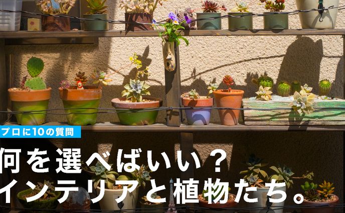 【サムネイル】趣味・レクチャー系