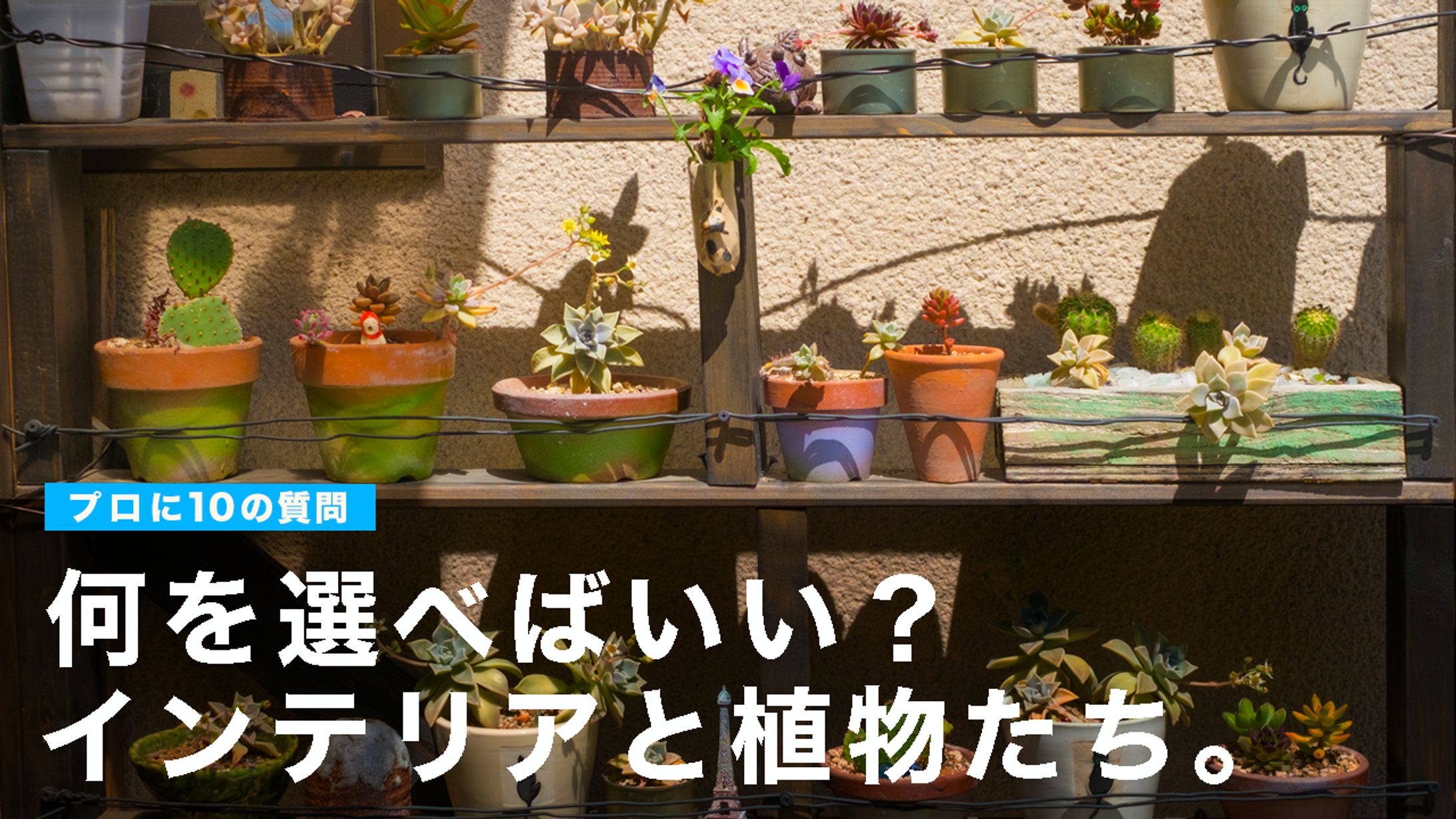【サムネイル】趣味・レクチャー系-1
