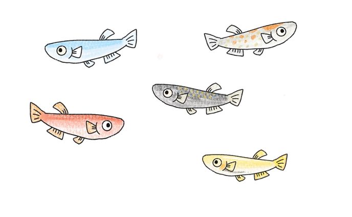 イラスト₋04