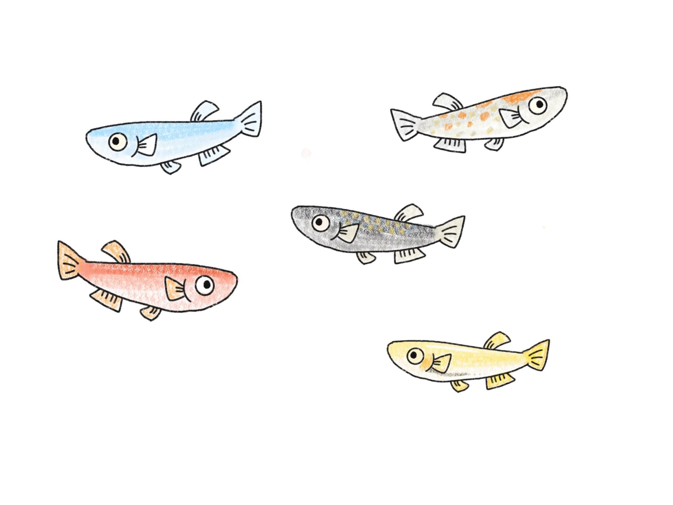 イラスト₋04-1