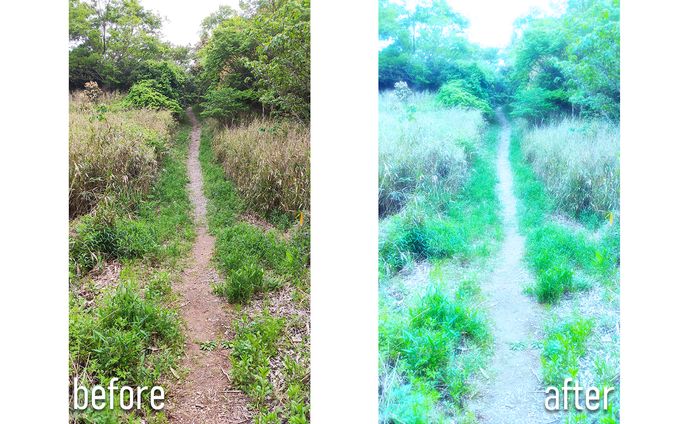 夢の中にいるような視覚演出