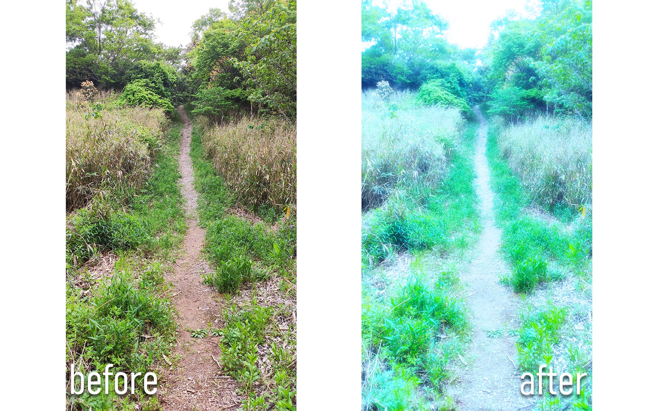 夢の中にいるような視覚演出-1