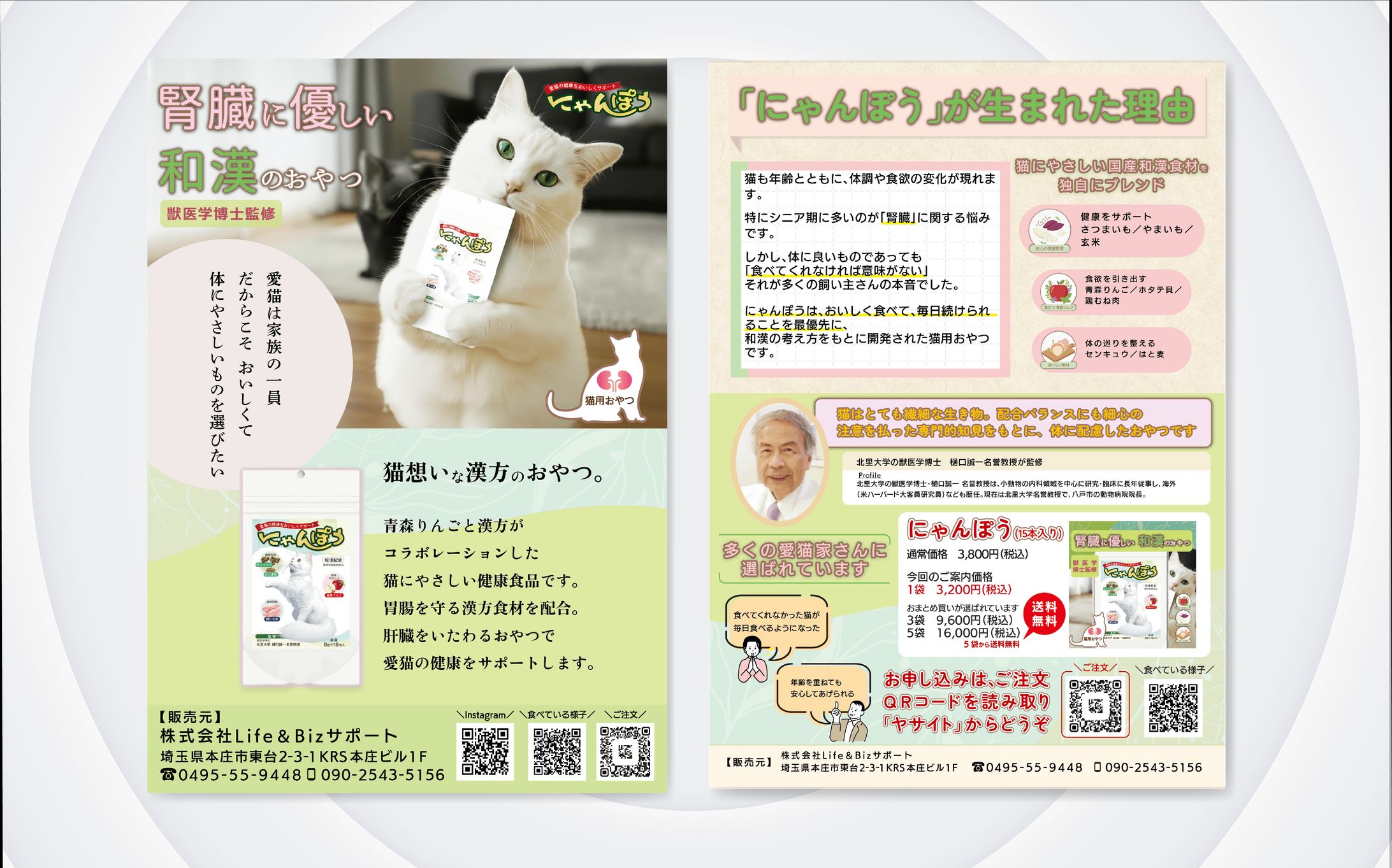 チラシ || 猫のおやつ-1