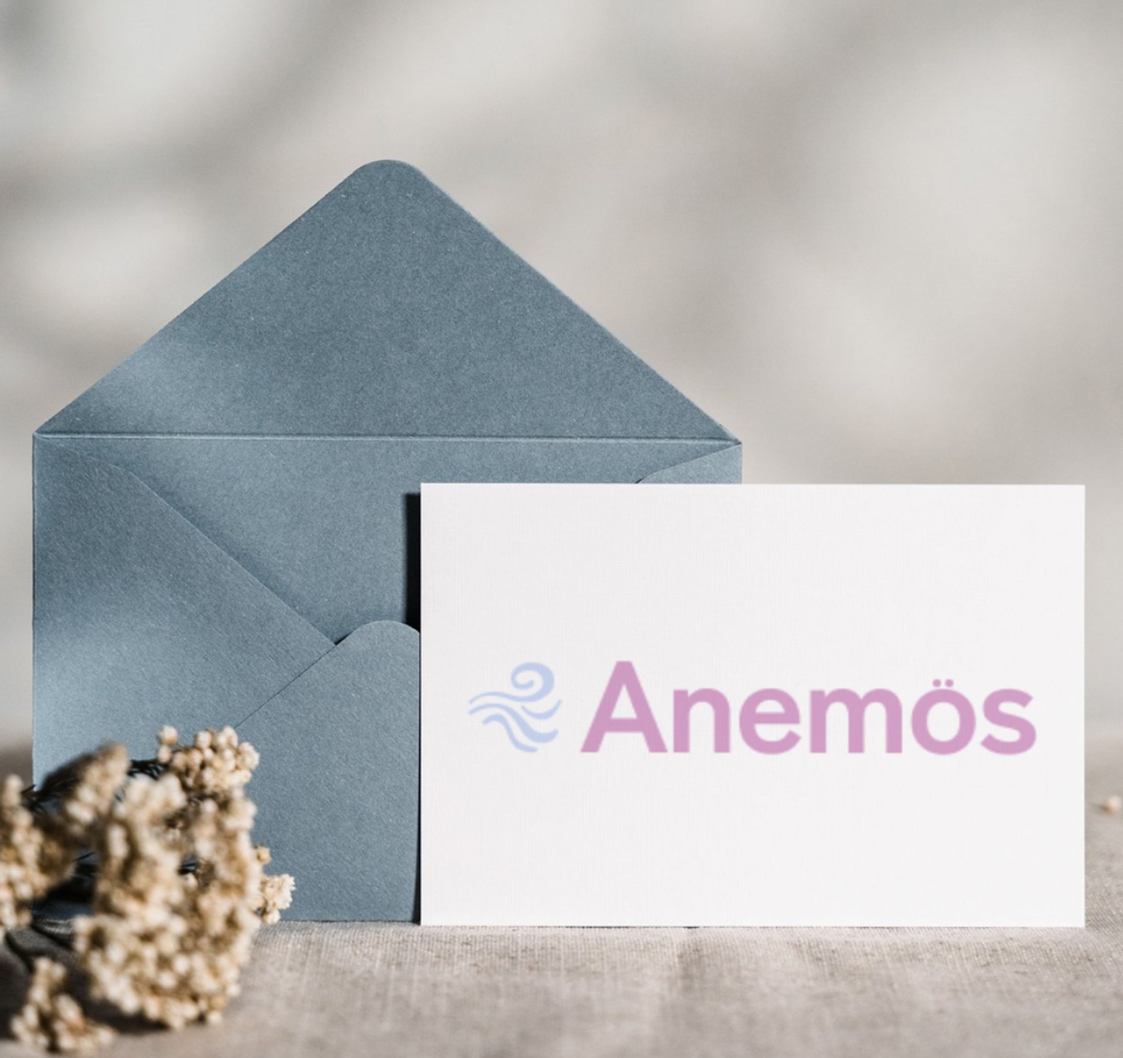 【ロゴ：制作実績】Anemos-1