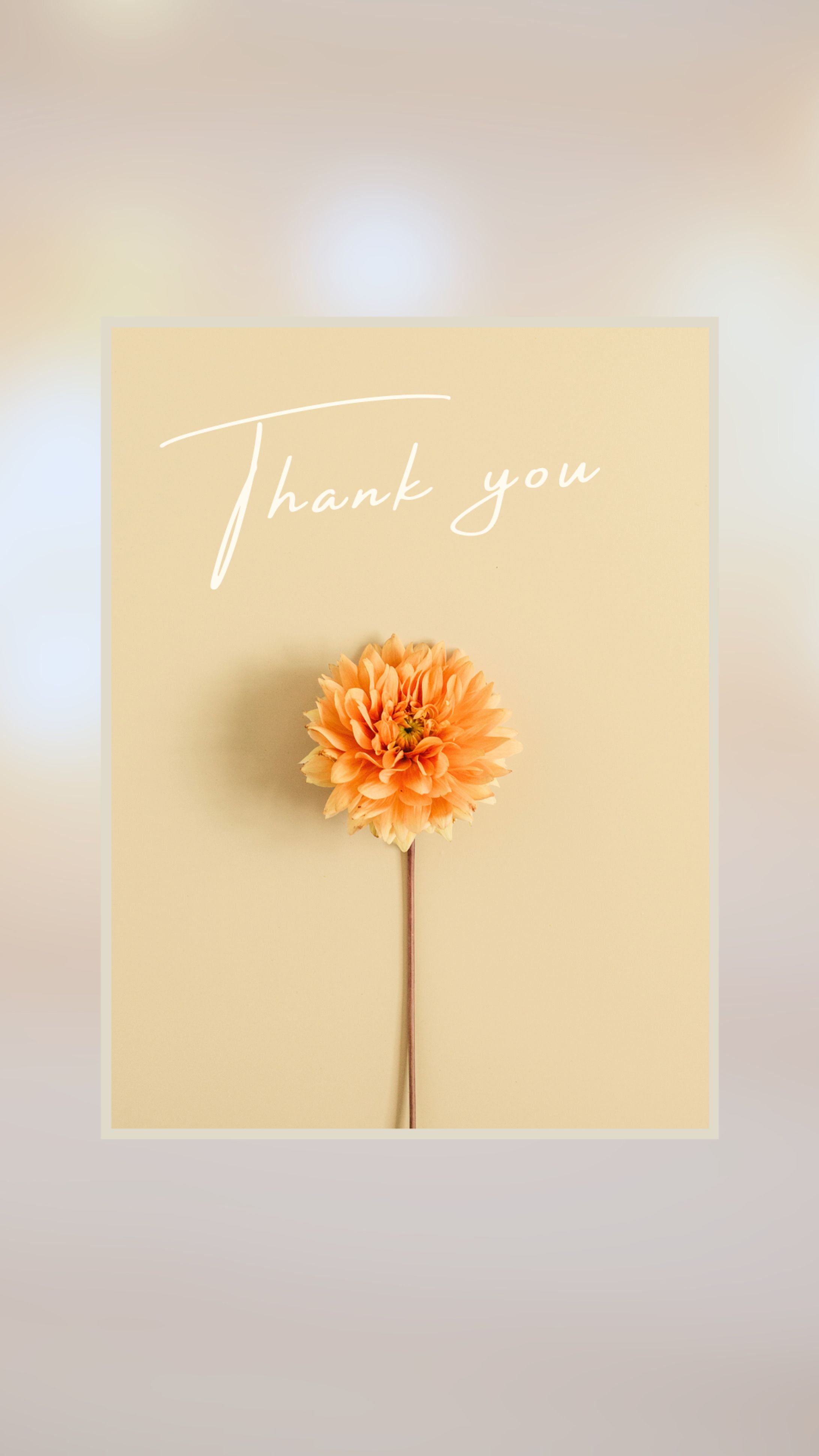 【Instagramストーリー画像】thank you-1