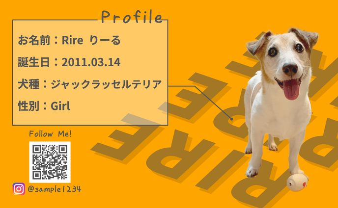 愛犬用名刺①