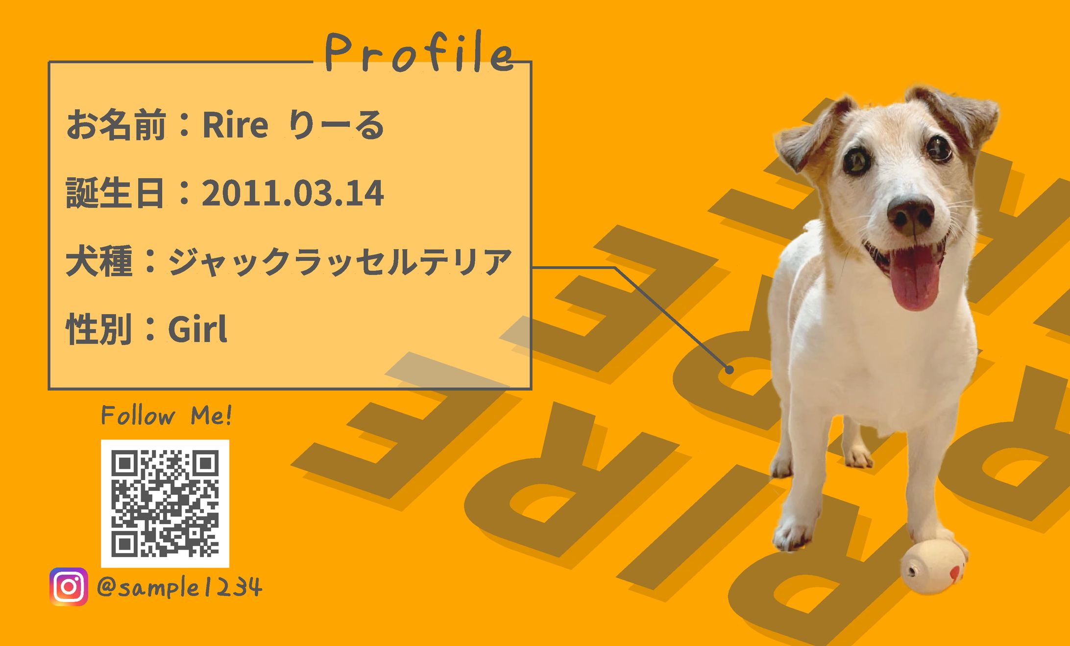 愛犬用名刺①-1