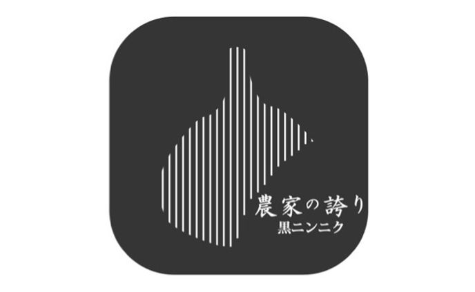 アーティスト、映像