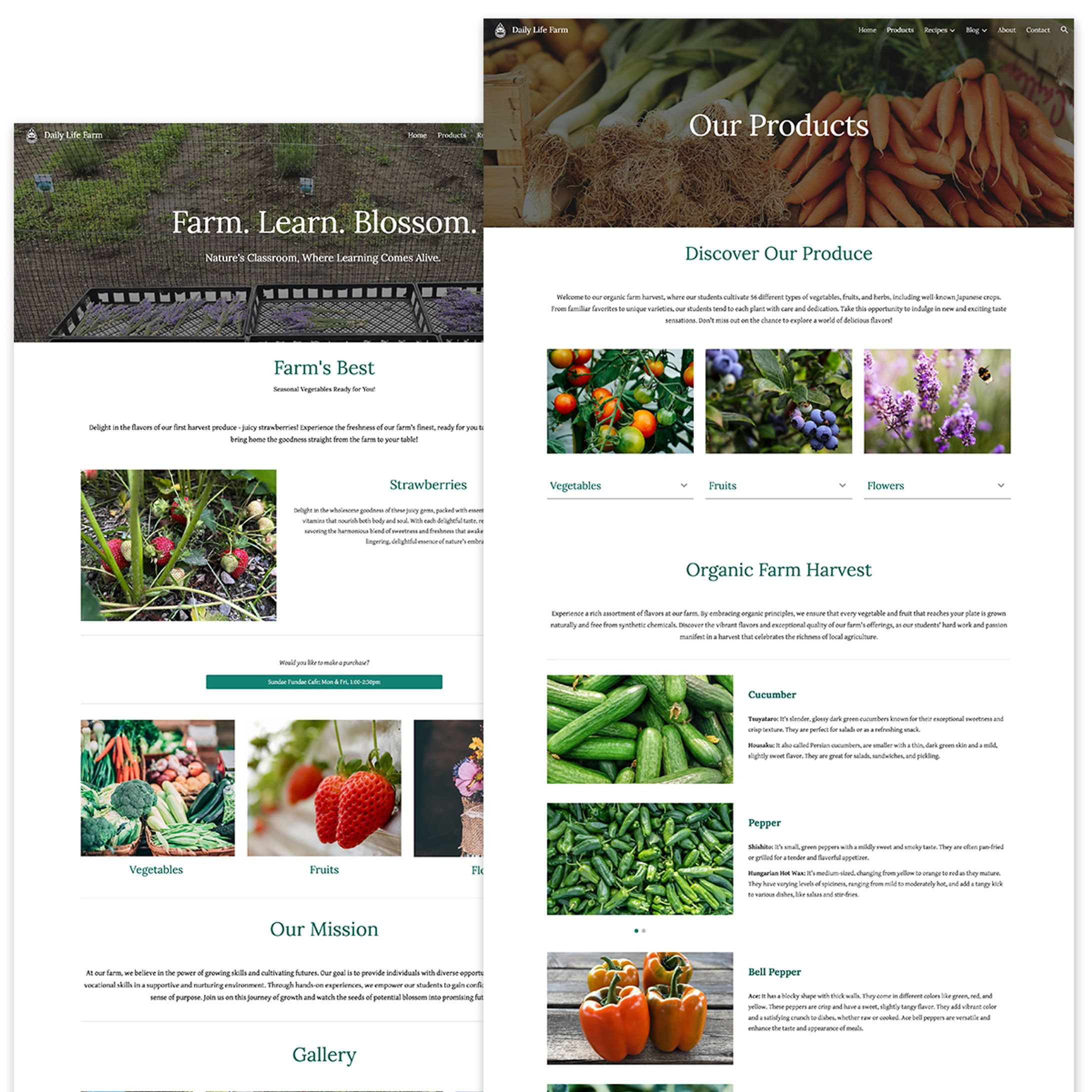 オーガニック農場Daily Life Farm様(HP)-1